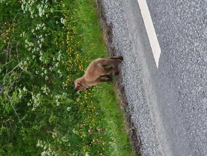 Man söker yngre tjejer - Eskort18.net @ eskort18.net